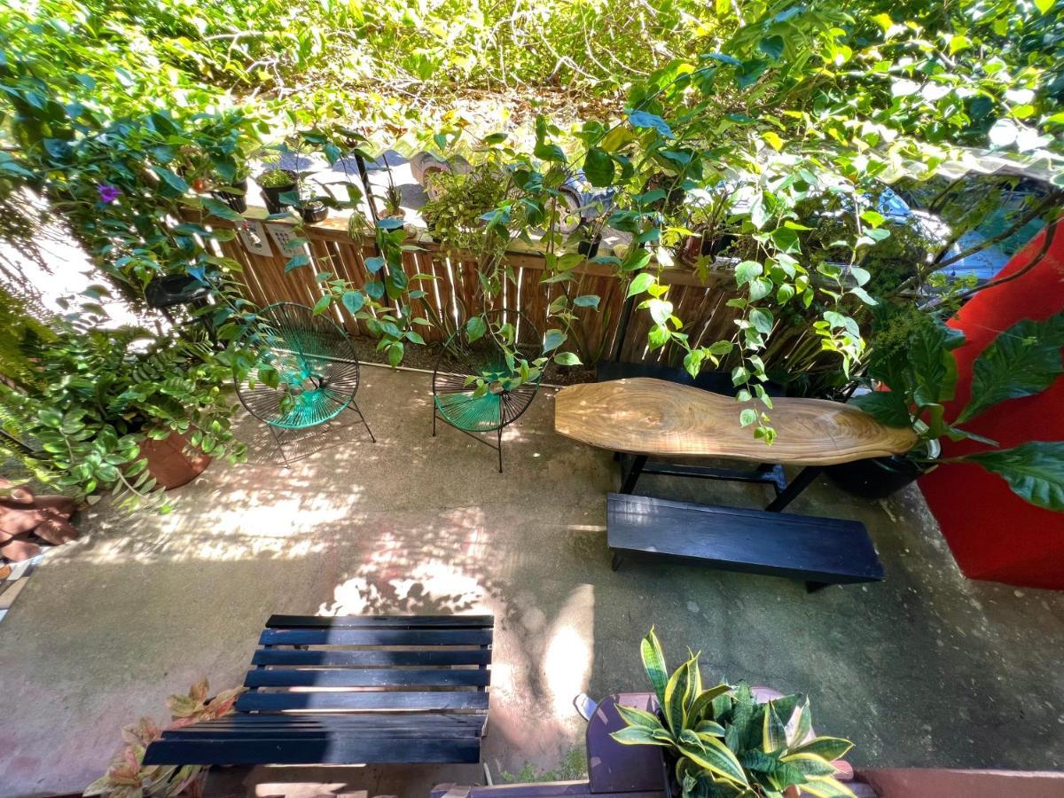 Pura Vida Hostel Монтесума Екстериор снимка